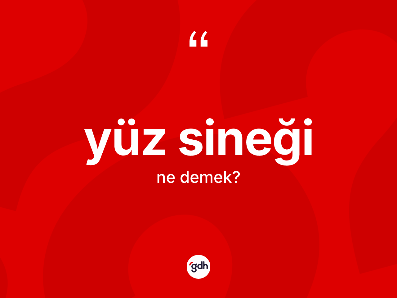 Yüz sineği kelimesinin tanımı nedir? Yüz sineğinin TDK'ya göre anlamı nedir?