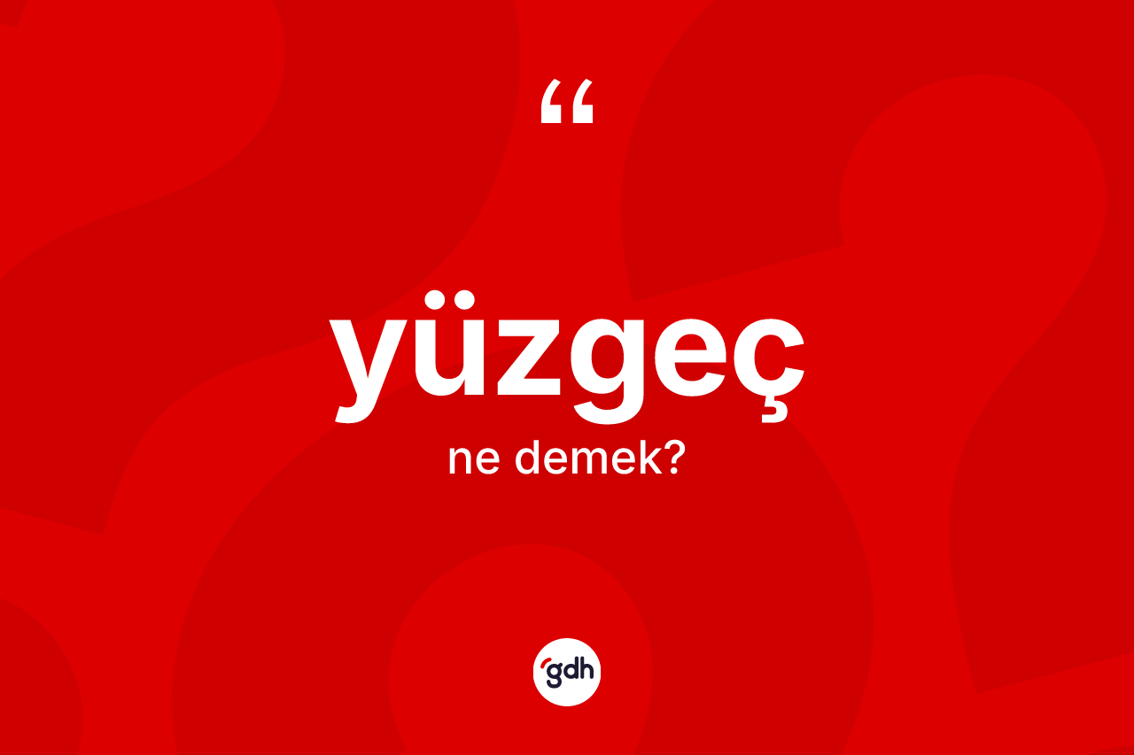 Yüzgeç kelimesi nedir?