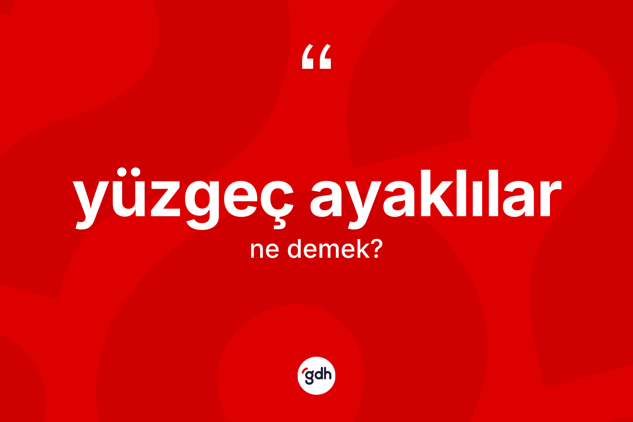 Yüzgeç ayaklılar kelimesinin sözlükteki tanımı nedir? Yüzgeç ayaklıların TDK'ya göre anlamı nedir?