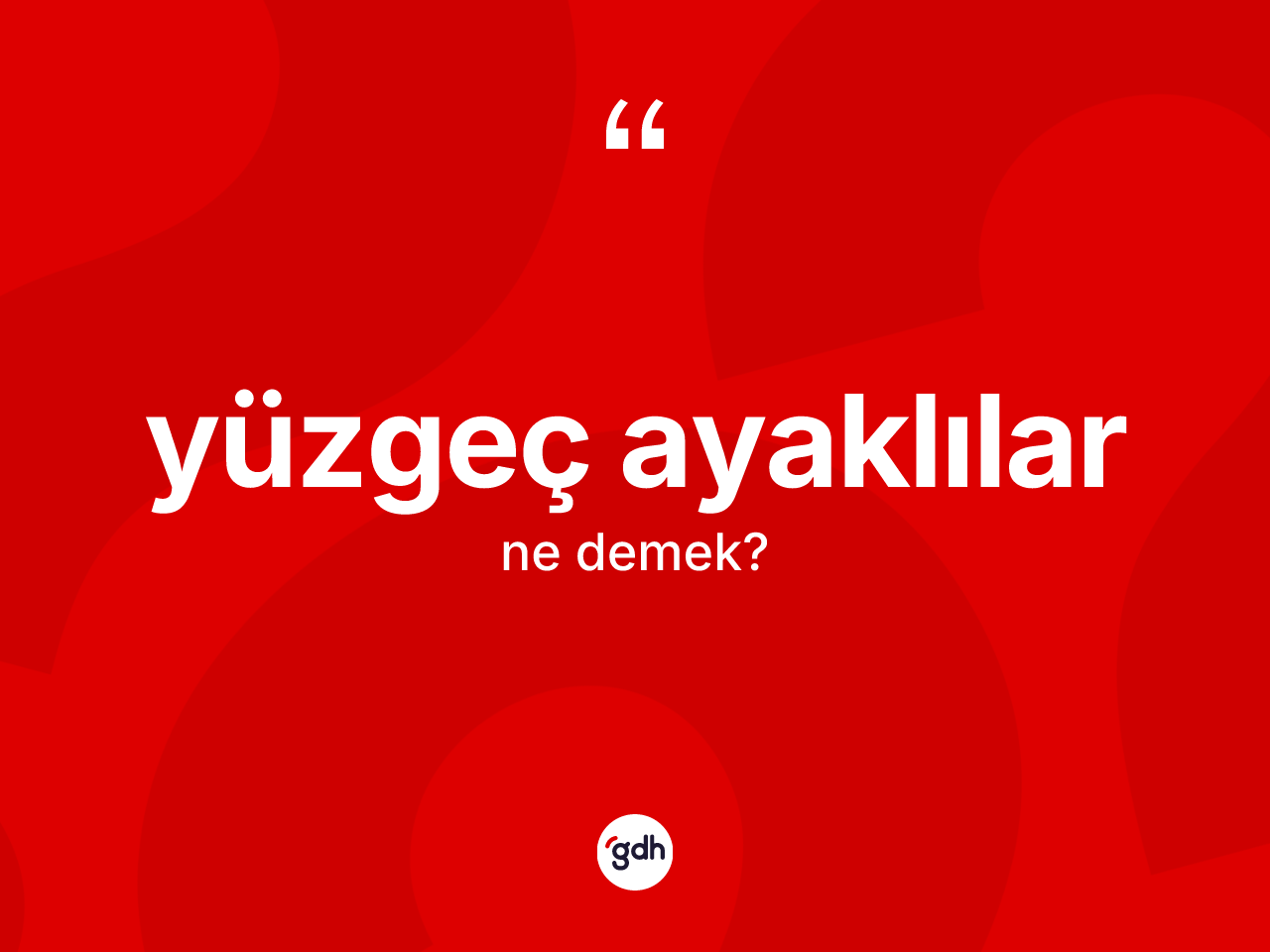 Yüzgeç ayaklılar kelimesinin sözlükteki tanımı nedir? Yüzgeç ayaklıların TDK'ya göre anlamı nedir?