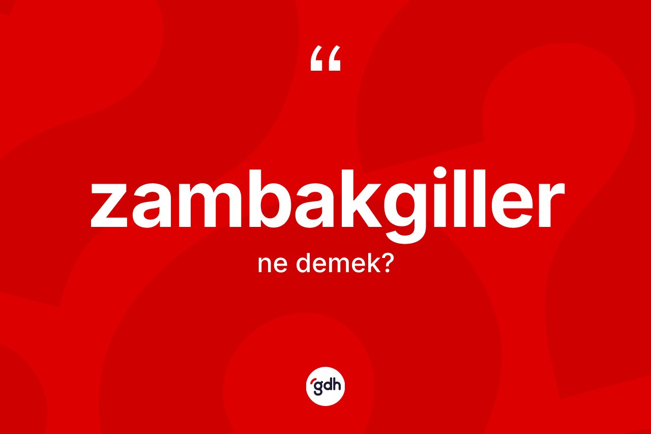 Zambakgiller kelimesinin anlamı nedir?