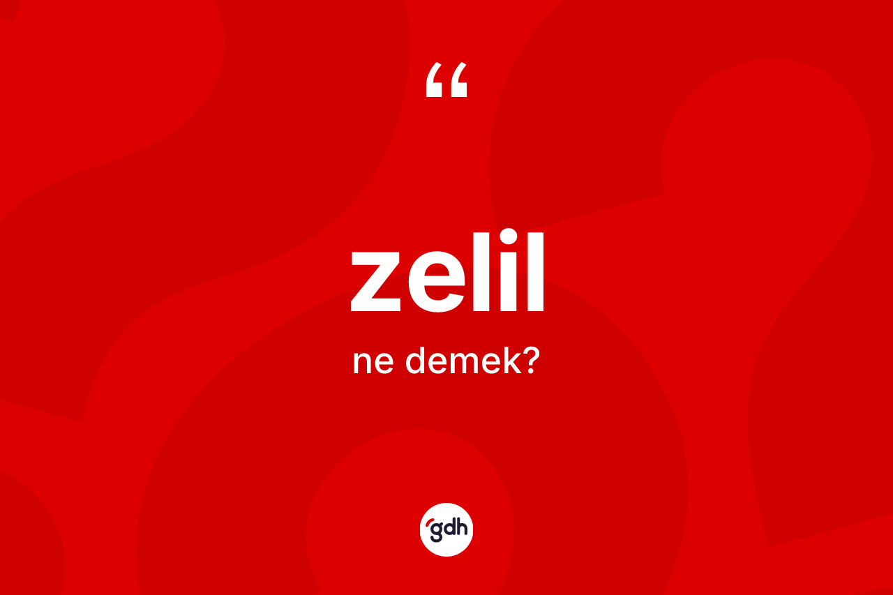 Zelil kelimesinin sözlükteki tanımı nedir? Zelil kelimesinin TDK anlamı nedir?