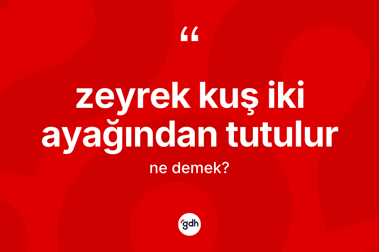 Zeyrek kuş iki ayağından tutulur sözü nedir? Zeyrek kuş iki ayağından tutulur sözü nerede kullanılır?