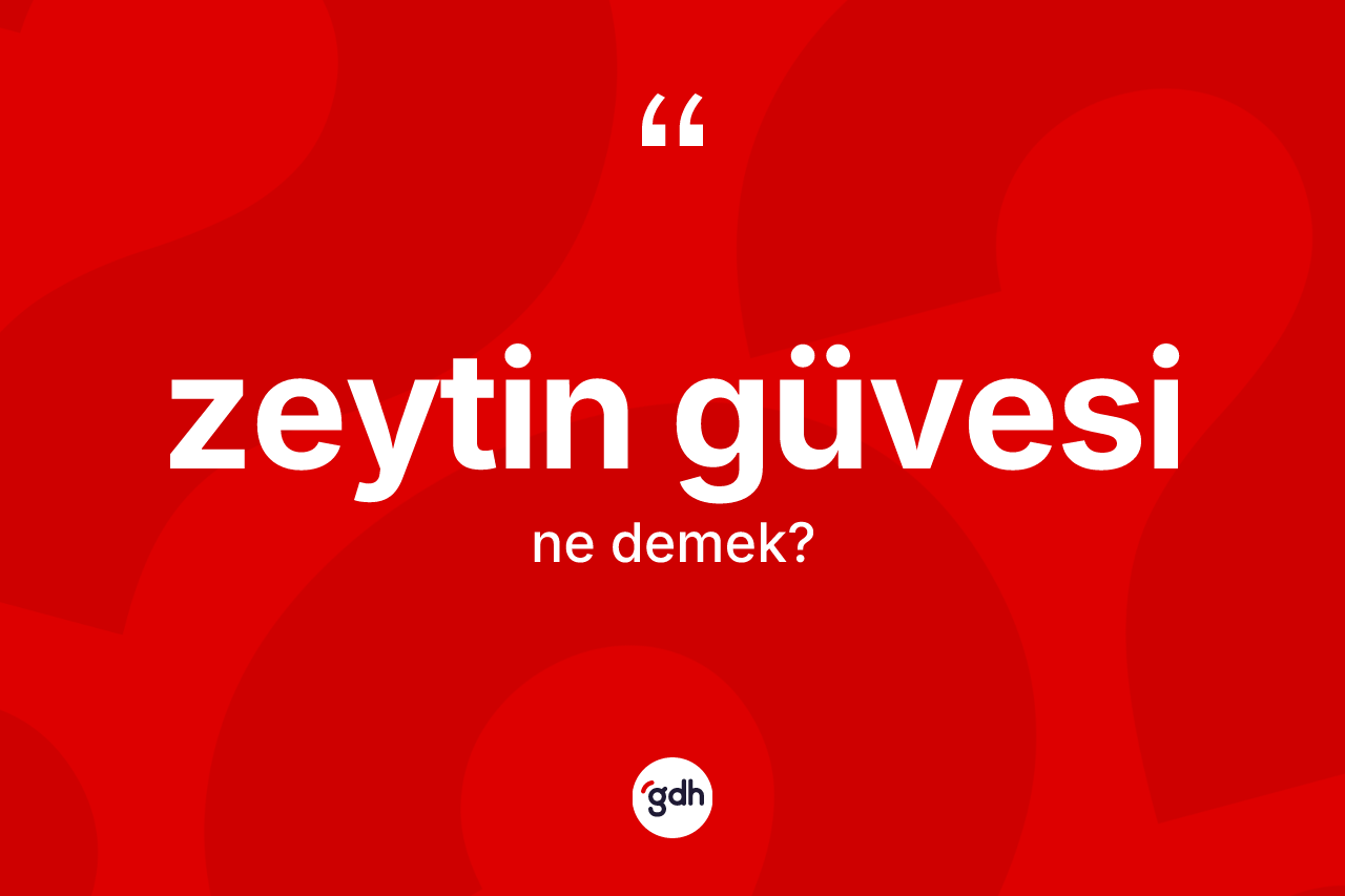 Zeytin güvesi kelimesinin anlamı nedir?