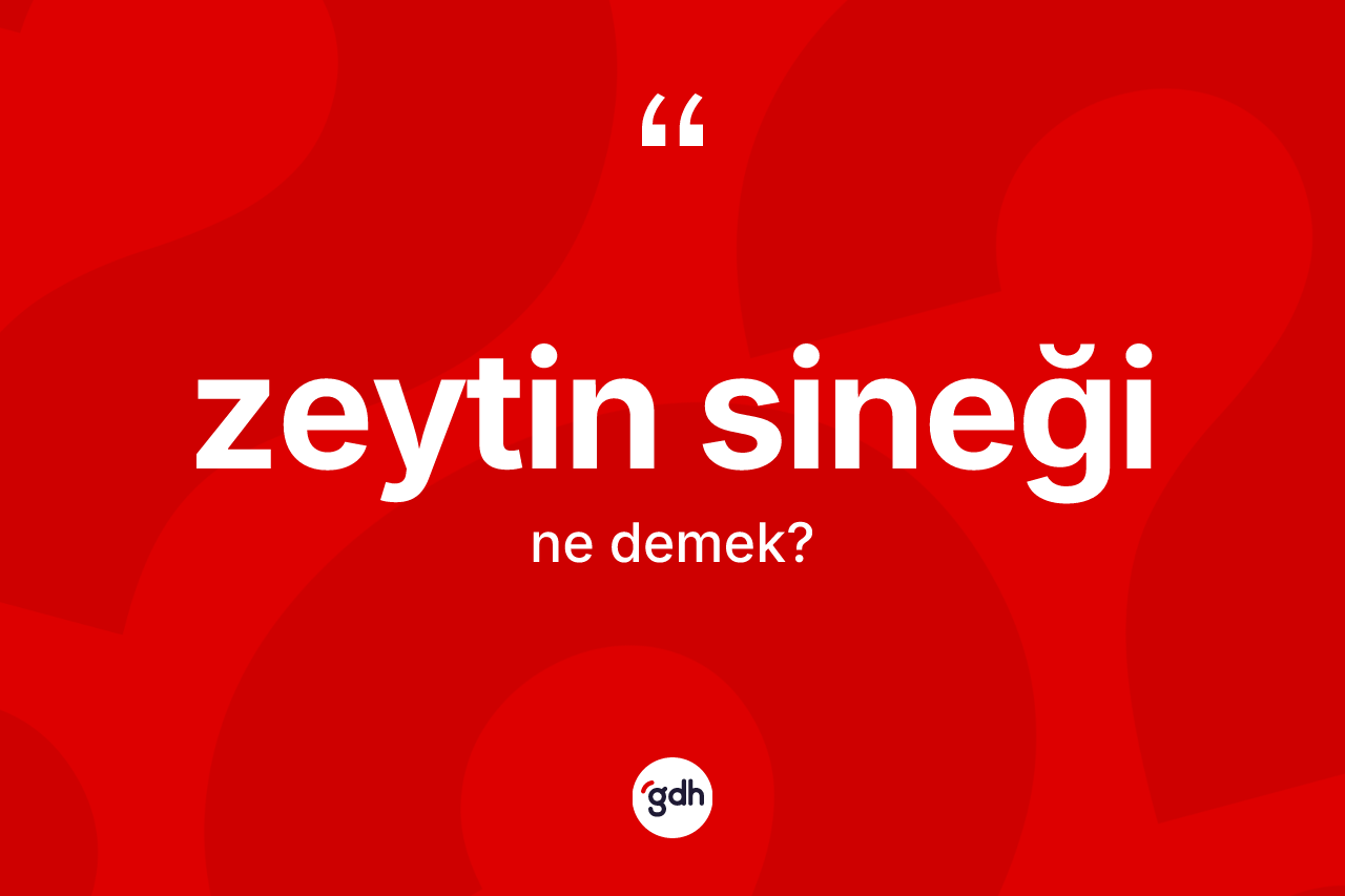 Zeytin sineği kelimesinin anlamı nedir?