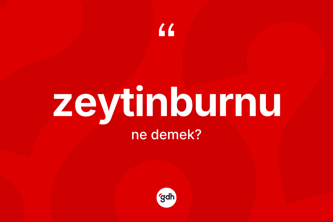 Zeytinburnu ne demek? Zeytinburnu'nun TDK'ya göre anlamı nedir?