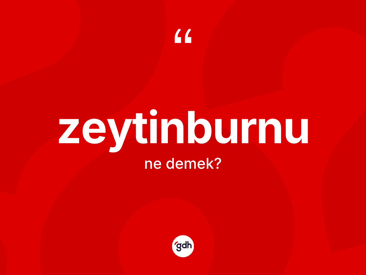 Zeytinburnu ne demek? Zeytinburnu'nun TDK'ya göre anlamı nedir?