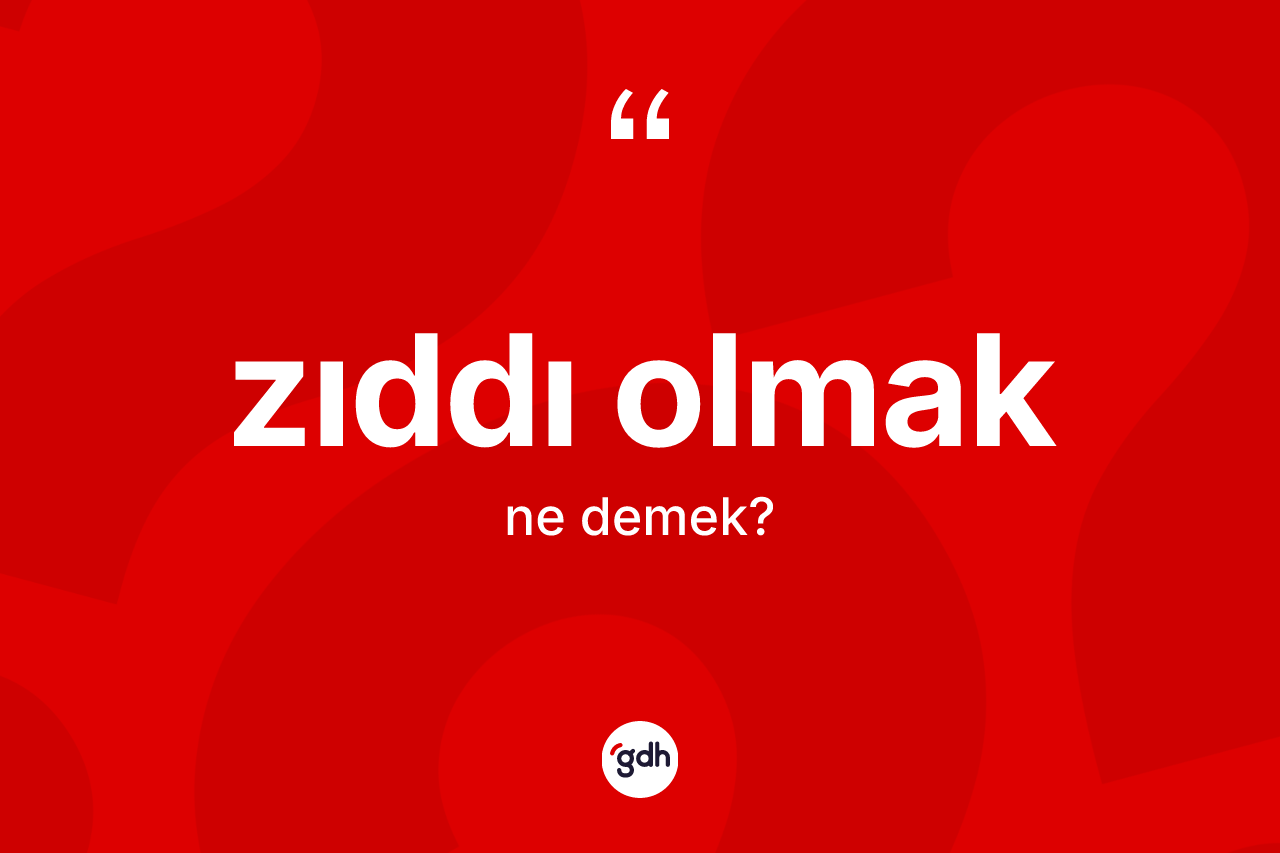 Zıddı olmak ifadesi nedir? Zıddı olmak ifadesi hangi durumlarda kullanılır