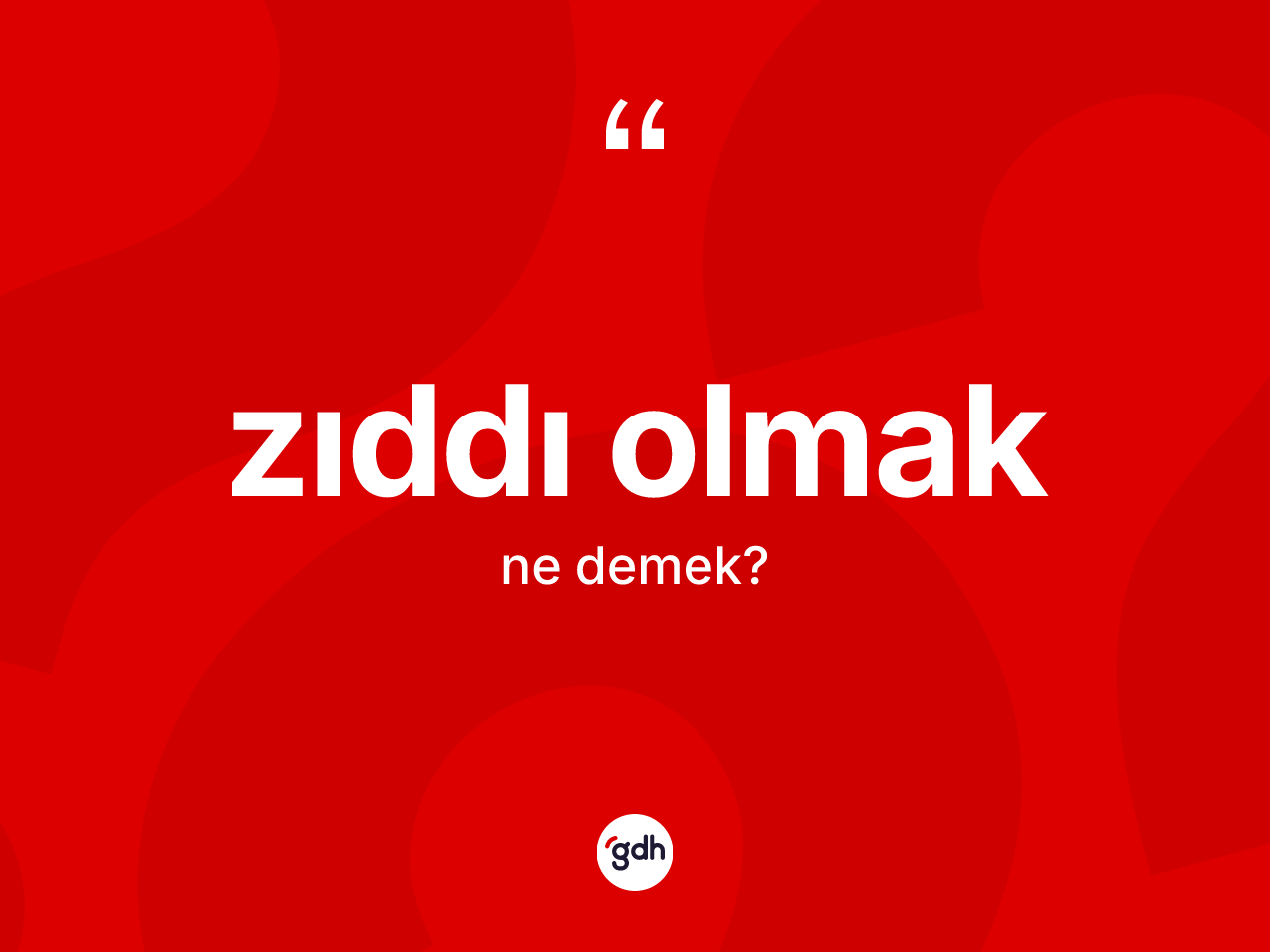 Zıddı olmak ifadesi nedir? Zıddı olmak ifadesi hangi durumlarda kullanılır