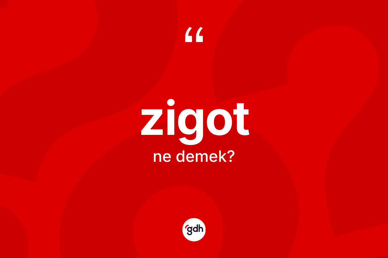 Zigot kelimesinin anlamı nedir?