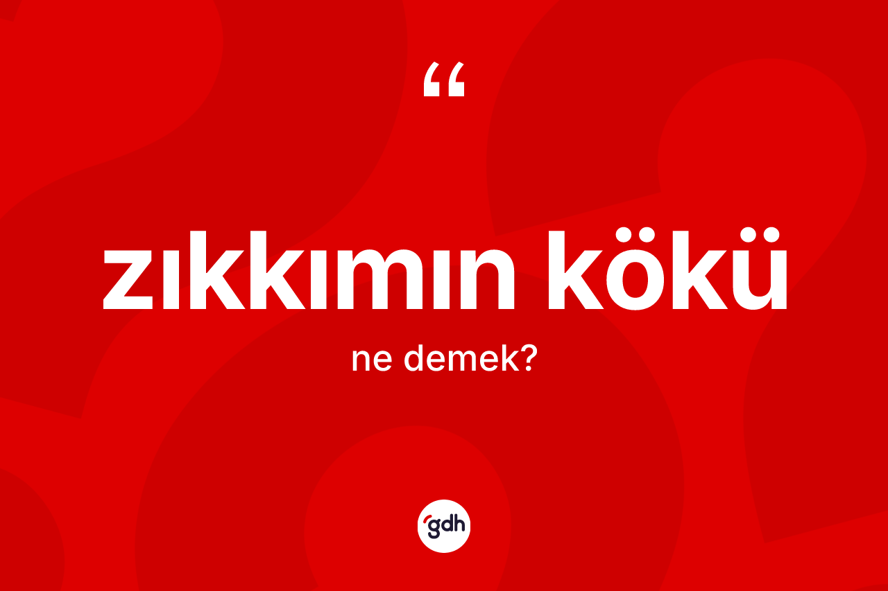 Zıkkımın kökü kelimesi ne demek? Zıkkımın kökü kelimesinin TDK anlamı nedir?