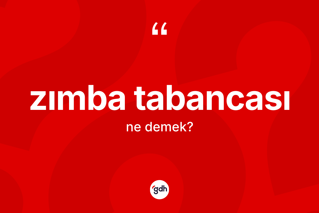 Zımba tabancası kelimesinin sözlükteki tanımı nedir?