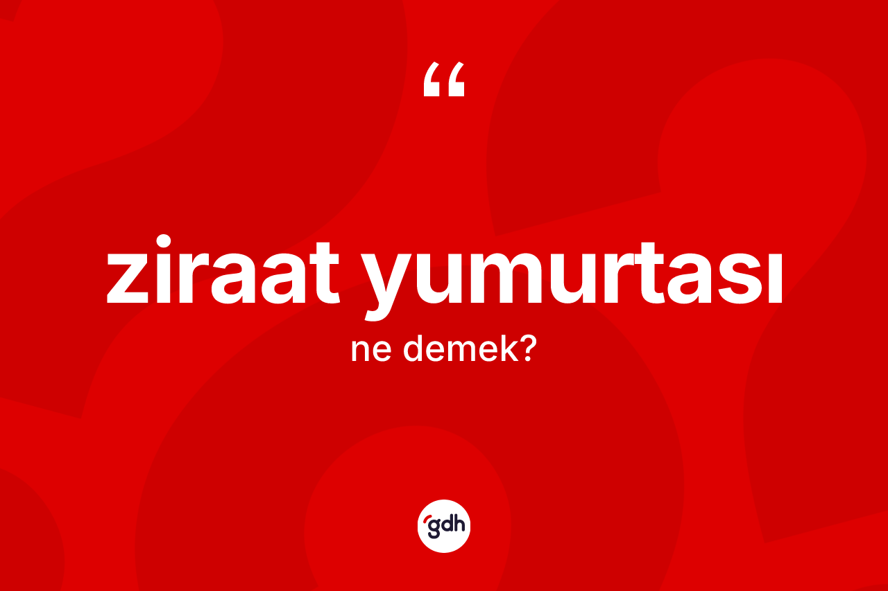 Ziraat yumurtası kelimesinin anlamı nedir?