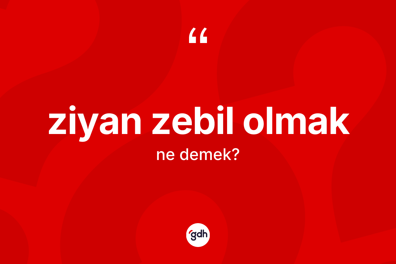 Ziyan zebil olmak ifadesi neyi anlatır? Ziyan zebil olmak ifadesi hangi durumlarda kullanılır