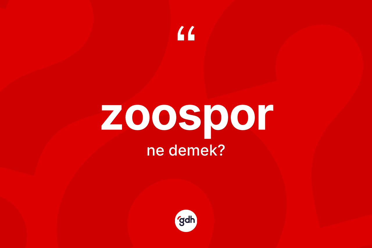 Zoospor kelimesinin sözlükteki tanımı nedir?