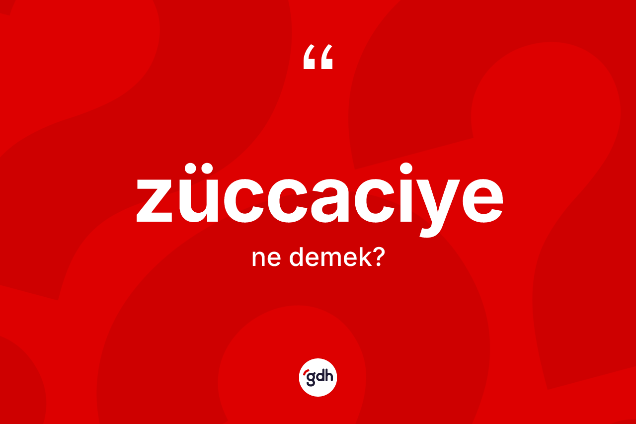 Züccaciye kelimesinin sözlükteki tanımı nedir?