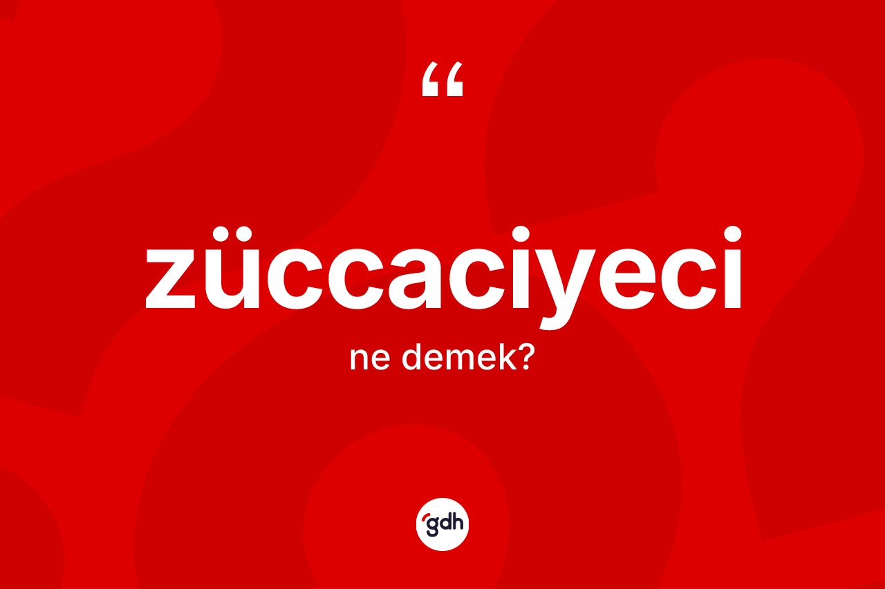Züccaciyeci kelimesinin tanımı nedir? Züccaciyecinin kısaca tanımı nedir?