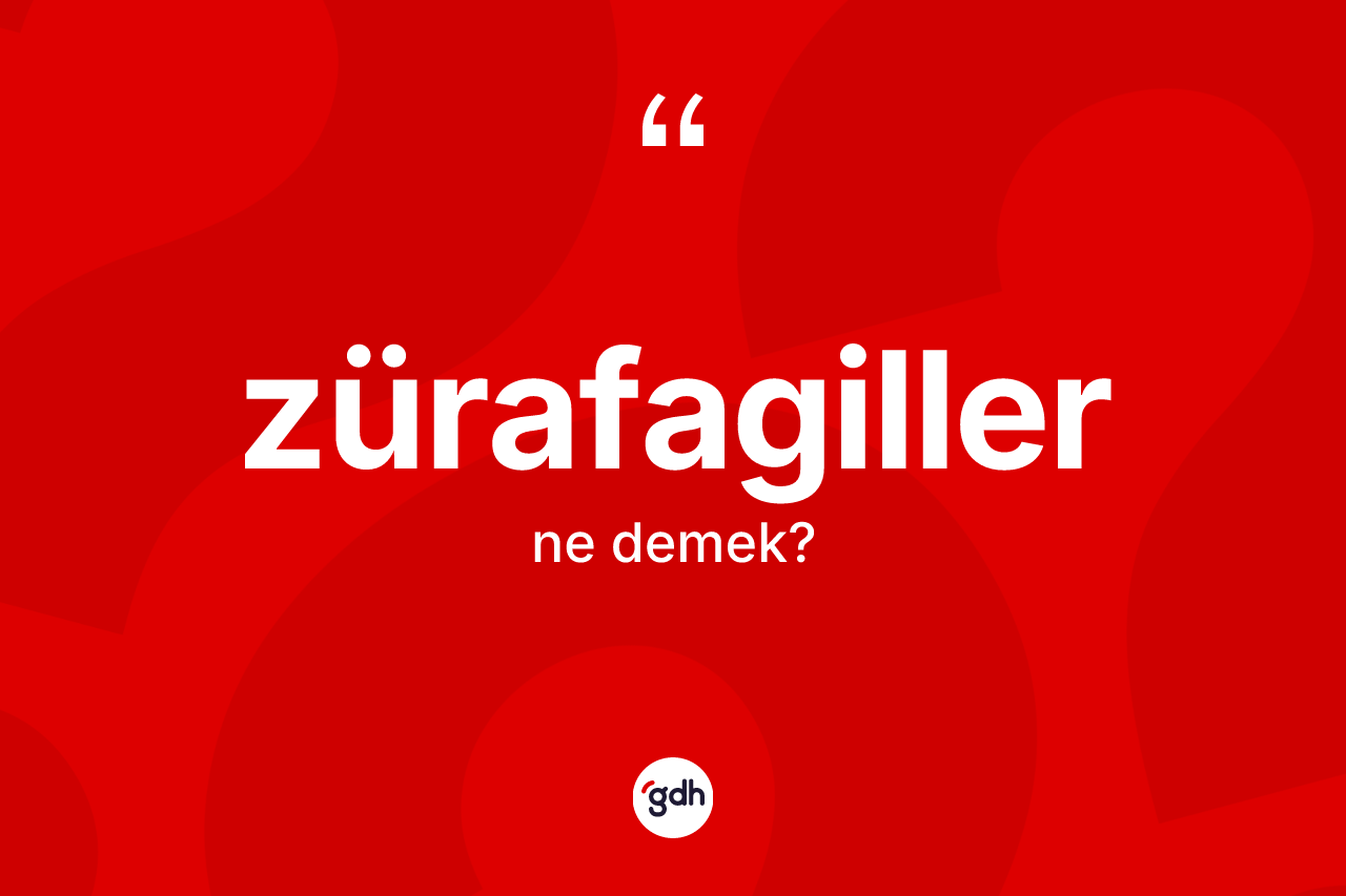 Zürafagiller kelimesinin anlamı nedir? Zürafagiller kelimesinin TDK anlamı nedir?