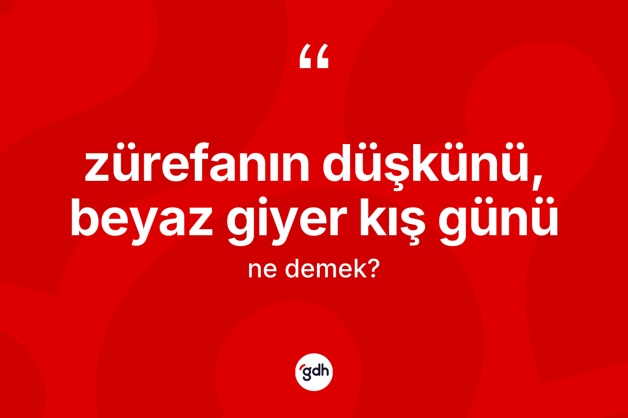 Zürefanın düşkünü, beyaz giyer kış günü ifadesinin kısaca anlamı nedir? Zürefanın düşkünü, beyaz giyer kış günü ifadesinin TDK anlamı nedir?