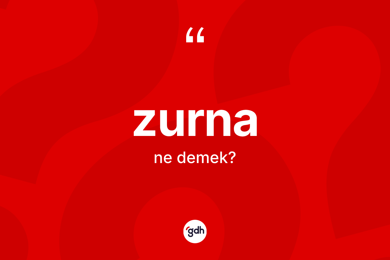 Zurna ne demek?