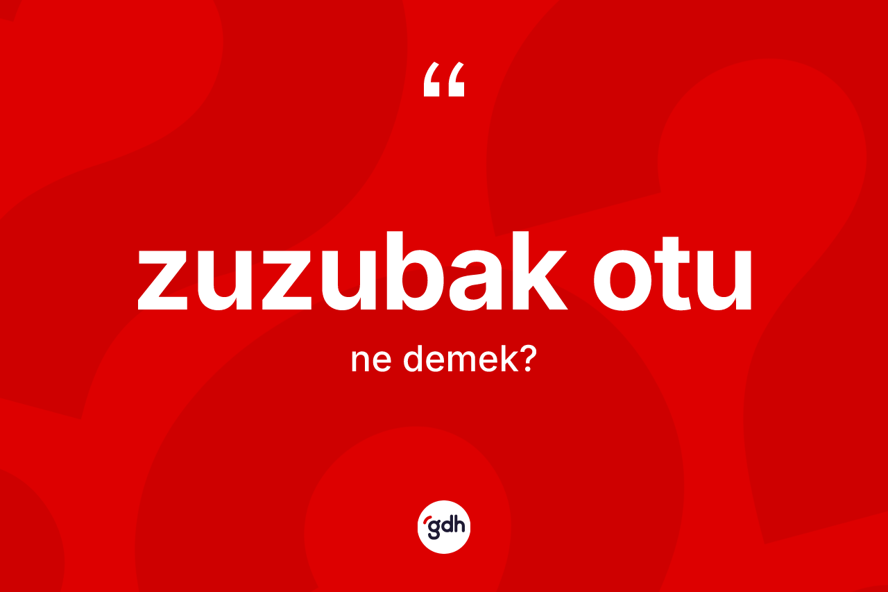 Zuzubak otu ne demek? Zuzubak otunun TDK'ya göre anlamı nedir?